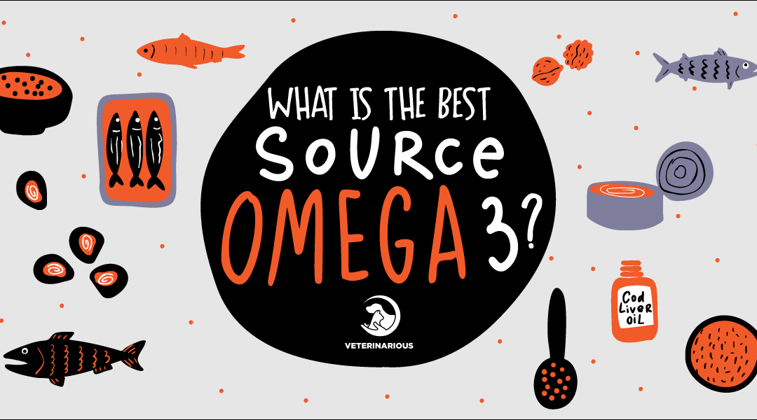 Omega3s for Dogs What’s the Best Source? Barking Dog Bakery & Feed