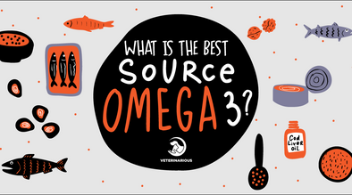 Best source for Omega-3s for Dogs
