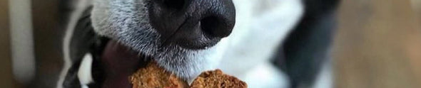 Barking Dog Bakery and Feed offers a highly curated selection of all-natural & organic dog foods and treats that are healthy and environmentally friendly, made in the USA.