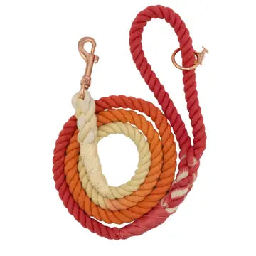 Sassy Woof Leashes