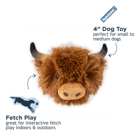 Tall Tails Heads 2-in-1 Fetch Ball Toy