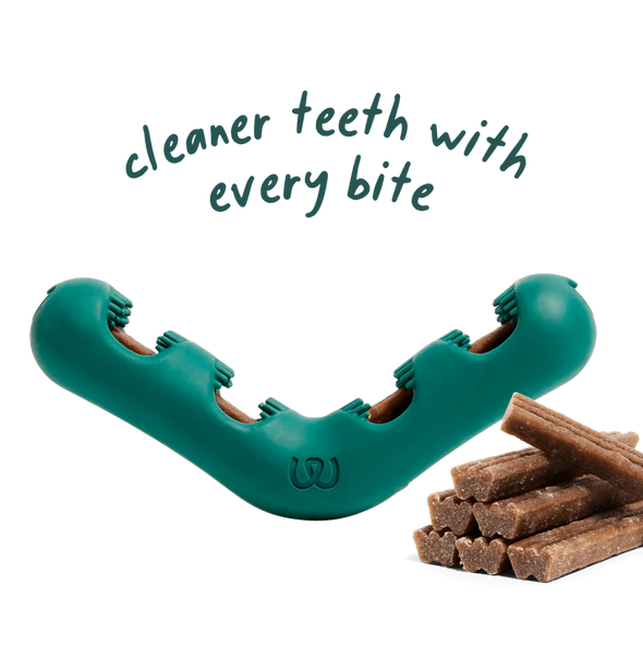 Woof Bite n' Brush