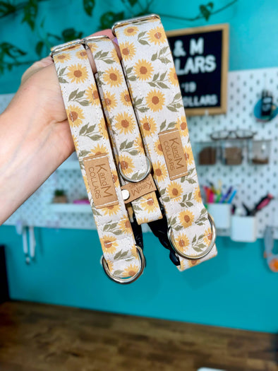 Sunflower Fields Dog Collar, Fall, Halloween,K and M Collars