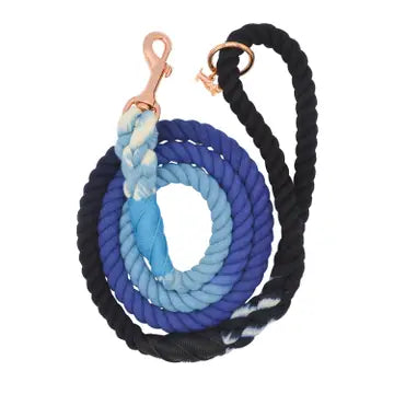 Sassy Woof Leashes