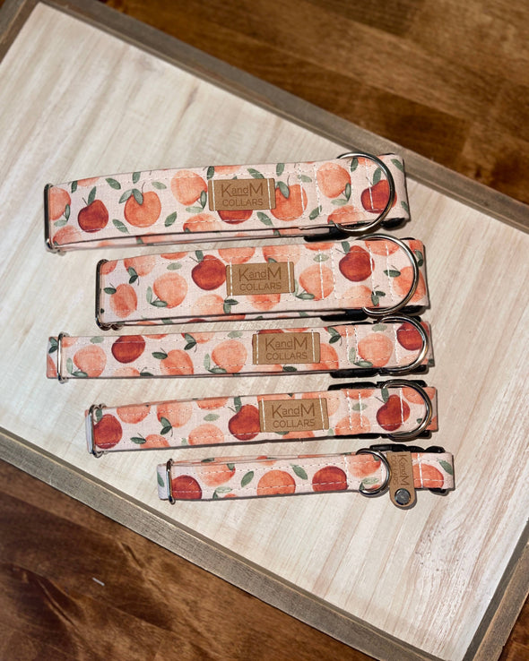 Fall Apples Dog Collar, K and M Collars