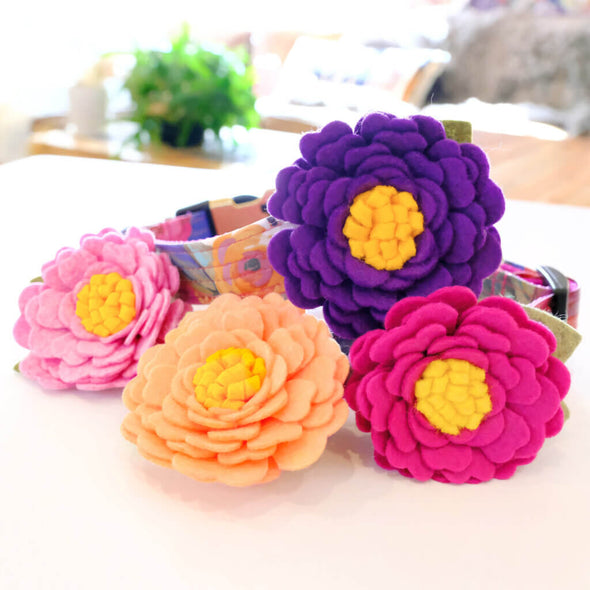 Mimi Green Dog Collar Flowers