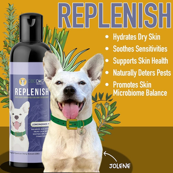 Replenish Soothing Shampoo for Irritated Skin