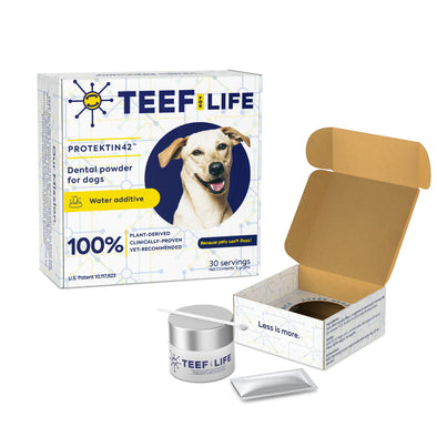 TEEF! Daily Dog Dental Care