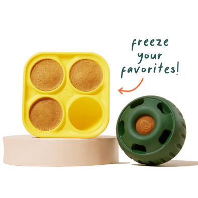 Pupsicle Treat Tray Freezer Molds