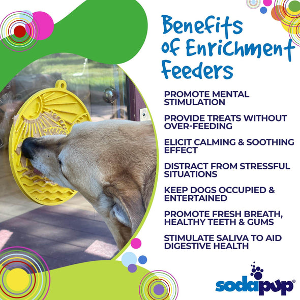 Sun n' Sea Enrichment Lick Mat