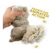 Tall Tails Toys