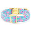 Float-mingo Summer Dog Collar