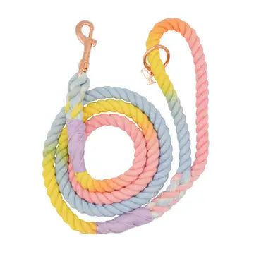 Sassy Woof Leashes