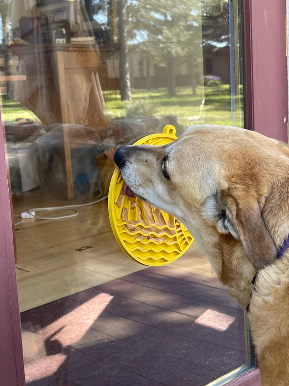 Sun n' Sea Enrichment Lick Mat
