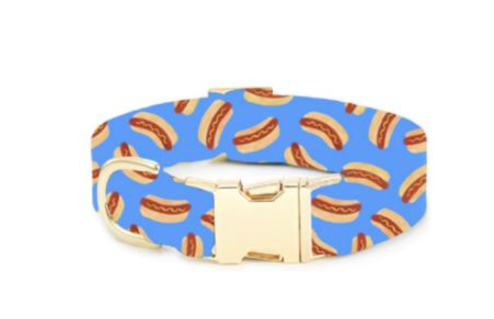 Hot Diggity Dog Summer Dog Collar