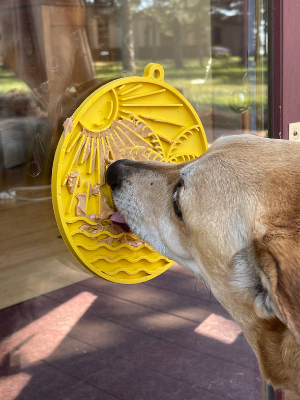 Sun n' Sea Enrichment Lick Mat