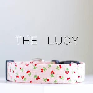 Pocky and Pepper Collars