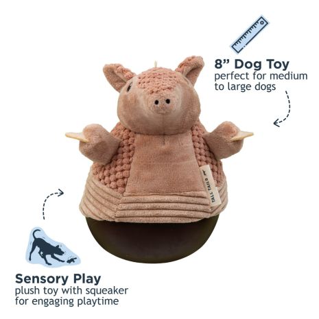 Tall Tails Roly Poly Armadillo Dog Toy