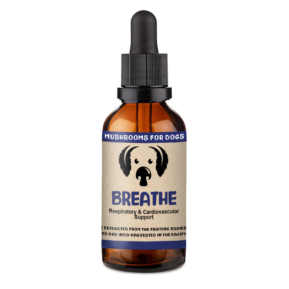 Breathe by MycoDog