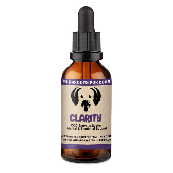 Clarity by MycoDog