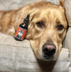 CBD Dog Health EASE Full Spectrum Hemp Extract (CBD) For Dogs with Turmeric and Frankincense, main image