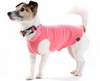 Goldpaw Stretch Fleece- Coral