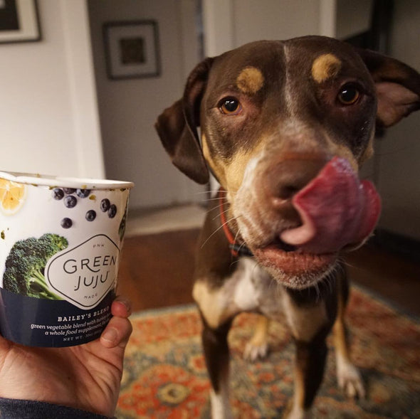 Green Juju™ Bailey's Blend Raw Supplement for Dogs, dog eating