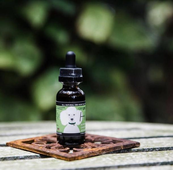 CBD Dog Health HEAL-Full Spectrum Hemp Extract (CBD) For Dogs 1100mg front image