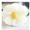 Mimi Green Dog Collar Flowers