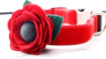 Mimi Green Dog Collar Flowers