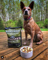 Northwest Naturals Freeze Dried Lamb Nugget Diet for Dogs, image of dog with food