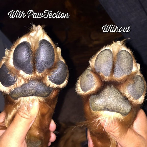 Natural Dog Company's Organic PawTection Balm for Dogs, before and after paw images