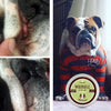 Natural Dog Company’s Organic Wrinkle Balm, before and after with dog