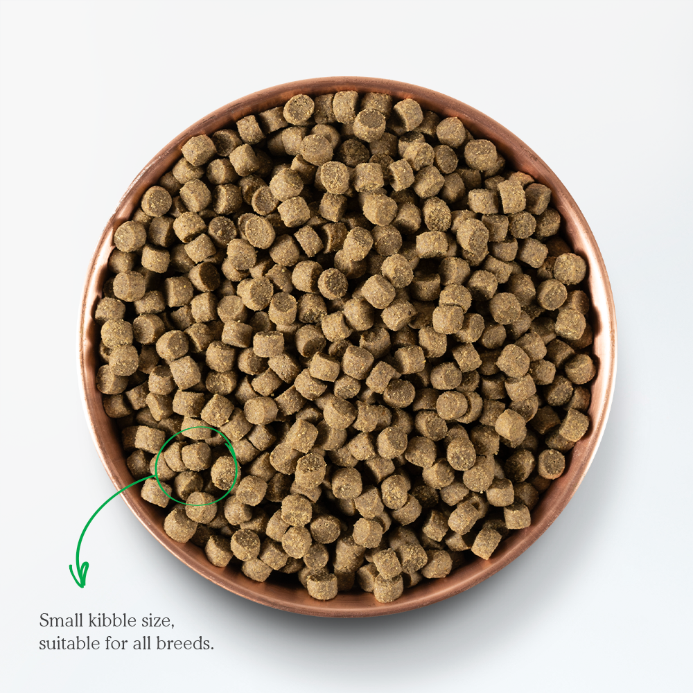 Open farm top dry dog food