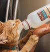 Primal's Raw Goat Milk for Dogs and Cats, cat drinking