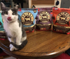 Raw Frozen Feline Duck Nuggets Formula by Primal, cat poses with food