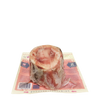 Raw Beef Marrow Recreational Bones for Dogs and Cats, medium