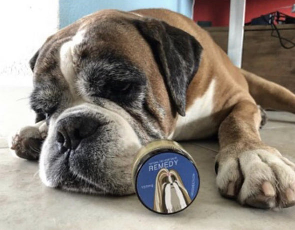 CBD Dog Health REMEDY - Full Spectrum Hemp Extract (CBD) Salve for Dogs