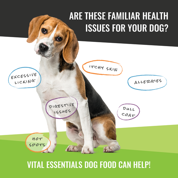 Vital Essentials Freeze-Dried Salmon Skins Dog Treats, package.
