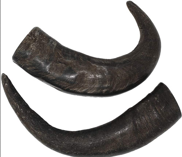 peaksNpaws Buffalo Horn