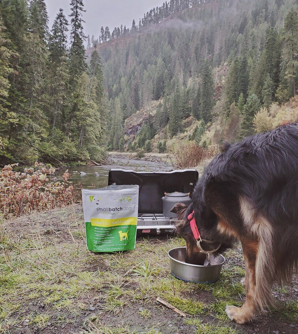 Small Batch Freeze Dried Lamb Dog Food, dog eating in mountains trip