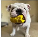 Soda Pup Dog Toys