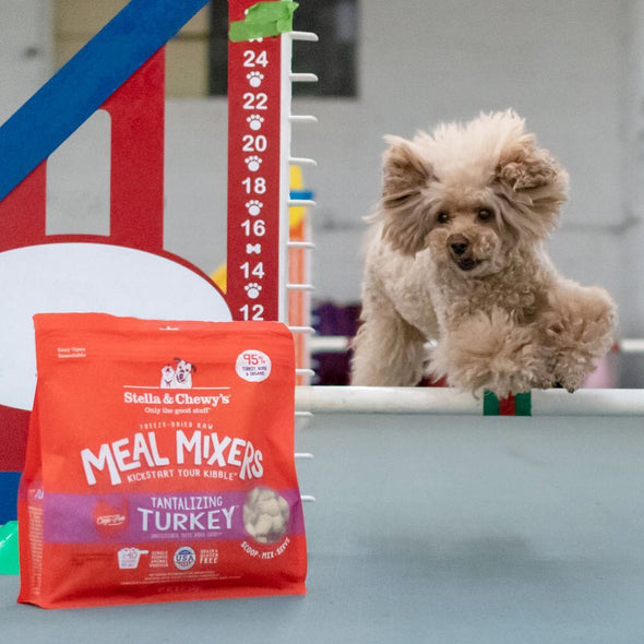 Stella & Chewy's Tantalizing Turkey Freeze Dried Raw Meal Mixers for Dogs