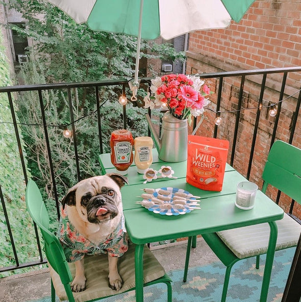 Stella & Chewy's Wild Weenies Beef Recipe