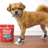 Stella Wild Weenies Lamb Recipe