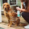 Wondercide Flea & Tick Spray for Pets + Home, applying on Golden Retriever dog