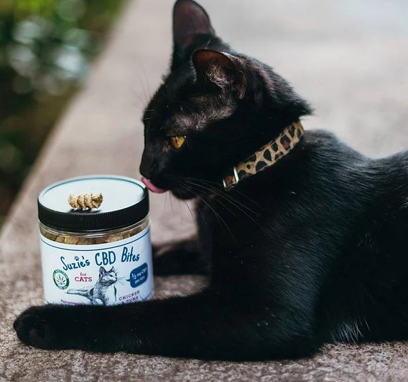 Suzie's CBD Treats for Cats 80pc 0.5mg