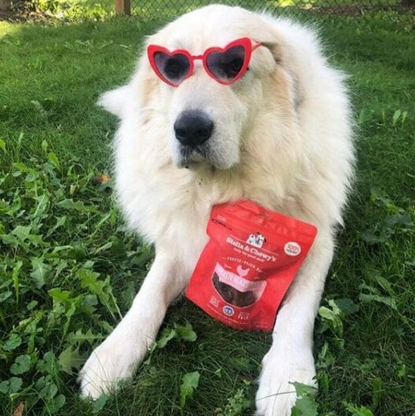 Stella Chicken Heart Treats