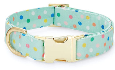 The Foggy Dog Collar