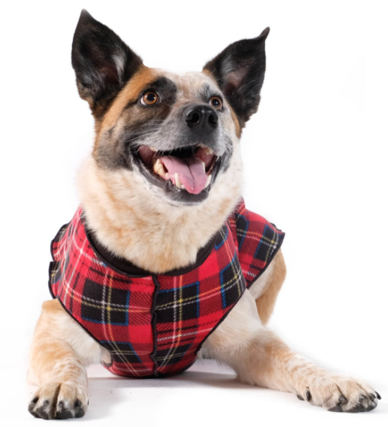 Goldpaw Duluth Double Fleece-Red Tartan and Black
